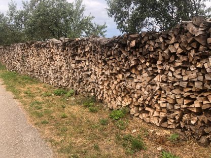 Trockene und sortenreine Rotbuche zu verkaufen