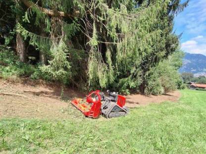 Bild 2:Mulcharbeiten Mulchen Forstmulcher Gestrüb