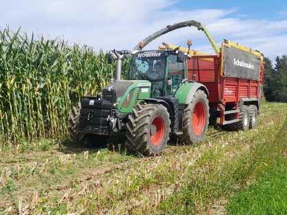 Bild 2:Lohnarbeit in der Maisernte