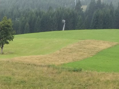 Bild 2:Grundstück Tirol (Zöblen) 2.852 m², im Winter Verpachtung