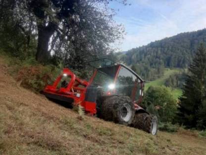 Bild 2:Mulcher Mulcharbeiten