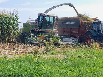 Bild 3:Lohnarbeit in der Maisernte