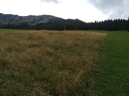 Bild 4:Grundstück Tirol (Zöblen) 2.852 m², im Winter Verpachtung