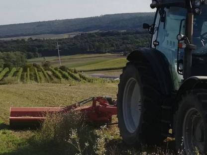 Bild 4:Mulcharbeiten