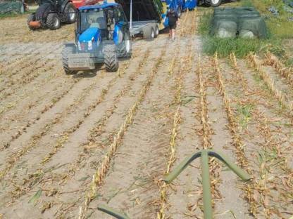 Bild 2:Wir pressen Maisrundballen.