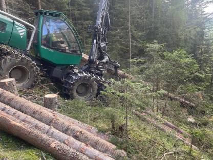 Bild 2:Holzschlägerung&Bringung