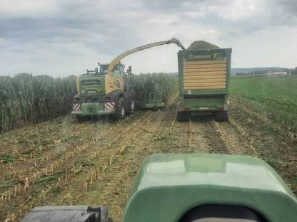 Bild 6:Übernehme Mais Ernte / Häckseln / Silieren