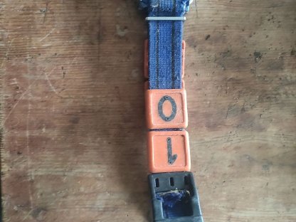 Bild 3:Delaval Alfa Laval Transponder