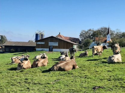 Unterstützung für Milchwirtschaftsbetrieb