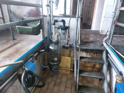 Bild 2:5er Tandem Melkstand inkl. Kühltank