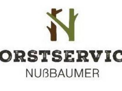 Bild 6:Forstservice