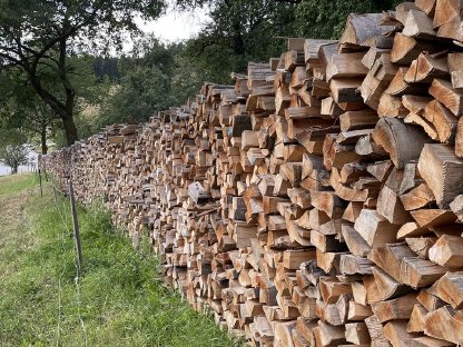 Bild 2:Brennholz zu verkaufen – Hochwertiges, trockenes Buchenholz