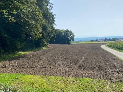 Bild 7:Biete Grünlanderneuerung