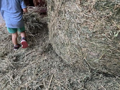 Bild 5:Luzerneballen BIO Premium Qualität