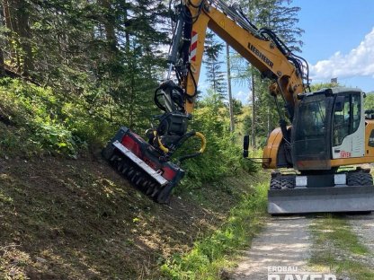 Bild 5:Böschungs- u. Bankettpflege