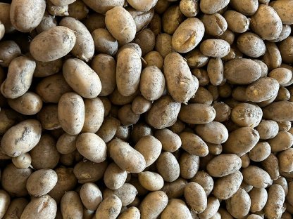 Bild 2:Kartoffeln, Erdäpfel zu verkaufen