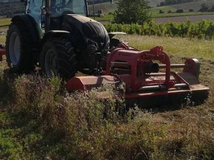 Bild 2:Mulcharbeiten