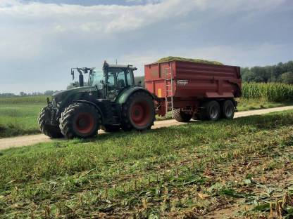 Bild 7:Übernehme Mais Ernte / Häckseln / Silieren