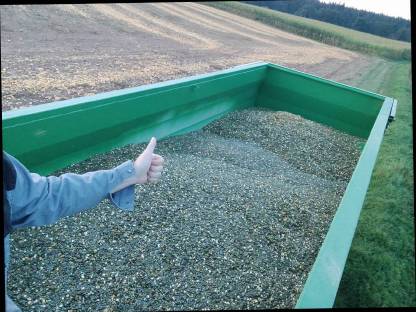 Bild 3:Kürbiskerne g.g.A Ernte 23