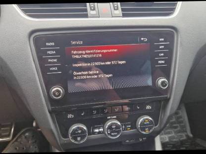 Bild 9:Skoda Octavia RS TDI 4x4