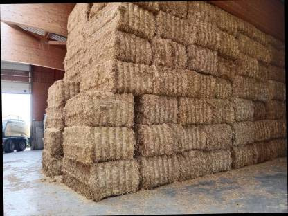 Bild 2:Verkaufe Stroh Ernte 2025