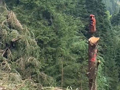 Bild 3:Holzschlägerung, Holzbringung - Bergauf, Umlauf, Bergab