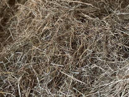 Bild 2:Heuballen belüftet