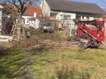 Bild 3:Baumschnitt, Rodung, Heckenschnitt