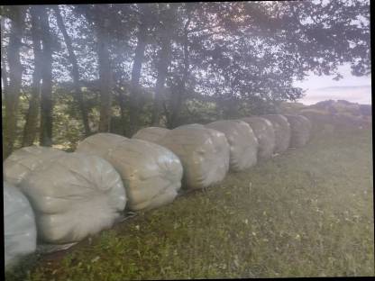 Bild 5:Verkaufe 22 Stk. Silage-Rundballen