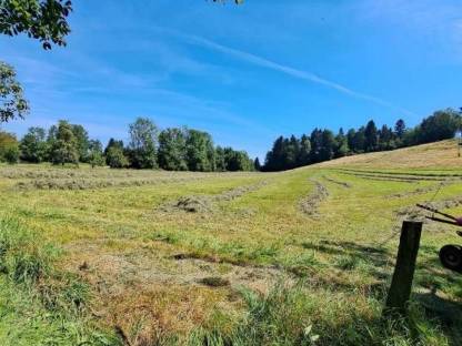 Bild 3:Heuballen günstig