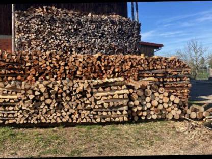 Brennholz Fichte trocken