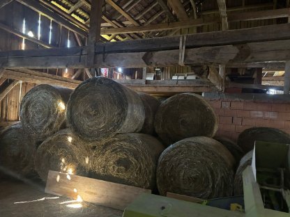 Bild 2:Bio-Heurundballen für Pferde