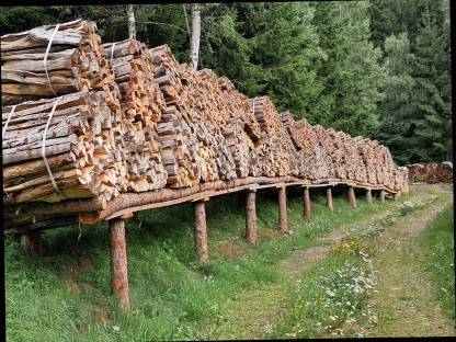 Brennholz