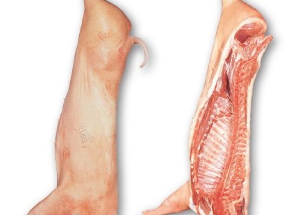 BIO-Schweinehälften