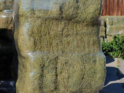 Bild 3:Verkaufe Kleinheuballen und Rundballen mit Warmluft belüftet