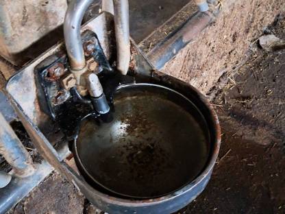 Bild 8:Selbstfangfressgitter, Liegeboxen