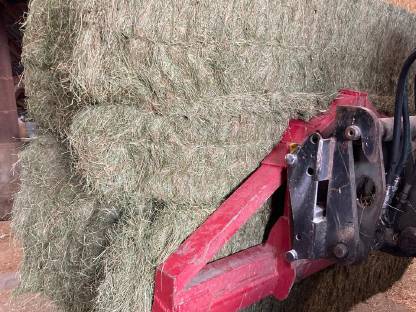 Bild 2:Heu 3. Schnitt