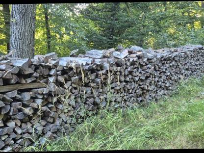 Bild 3:Buchenbrennholz