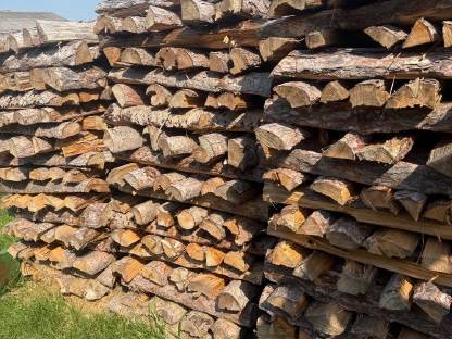 Bild 3:Brennholz