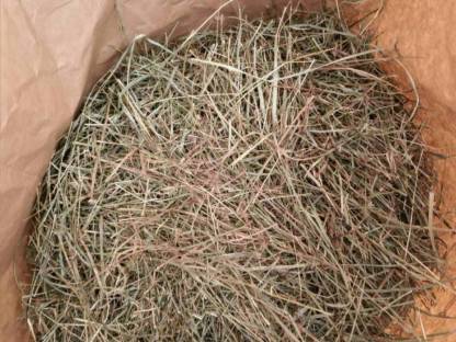 Bild 3:Verschicke Heu für Kleintiere