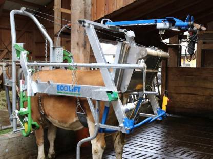 Ecolift Klauenstand Klauenpflegestand - Stockinger Bau