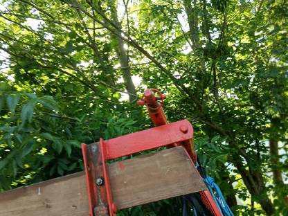 Bild 4:Pöttinger Mirow