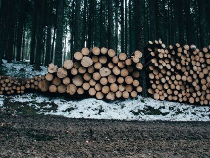 Bild 2:7 ha Wald im Bezirk St. Veit an der Glan