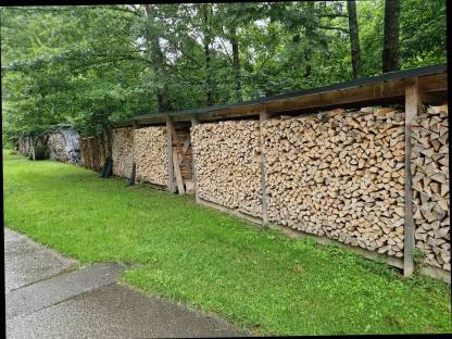 Bild 3:Brennholz Buche