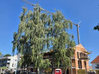 Bild 2:Condecta 3610 Kran