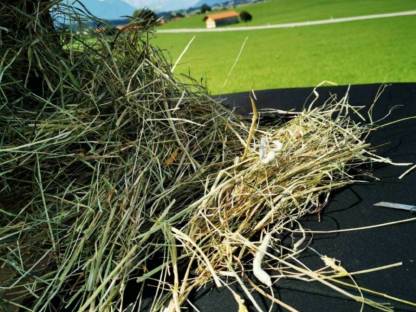 Bild 5:Heu Grummet Rundballen 1. und 2. Schnitt