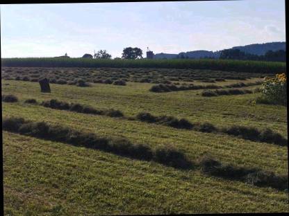 Bild 3:Große Heuballen