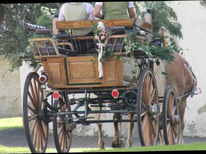 Bild 2:Kutsche Wagonette