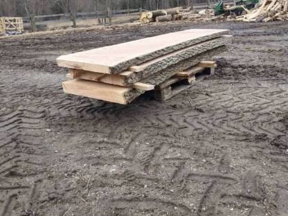 Bild 2:Eschenplatten