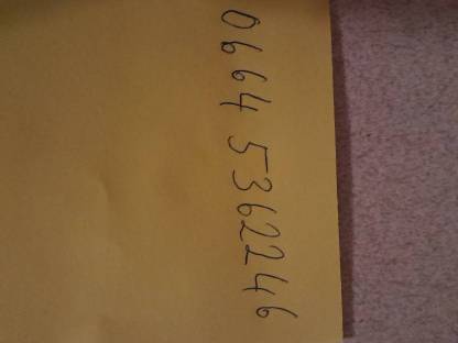 Bild 5:Junge Hähne zu verschenken